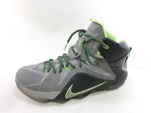 [270]Nike Lebron 12 XII Dunk Force Wolf Grey